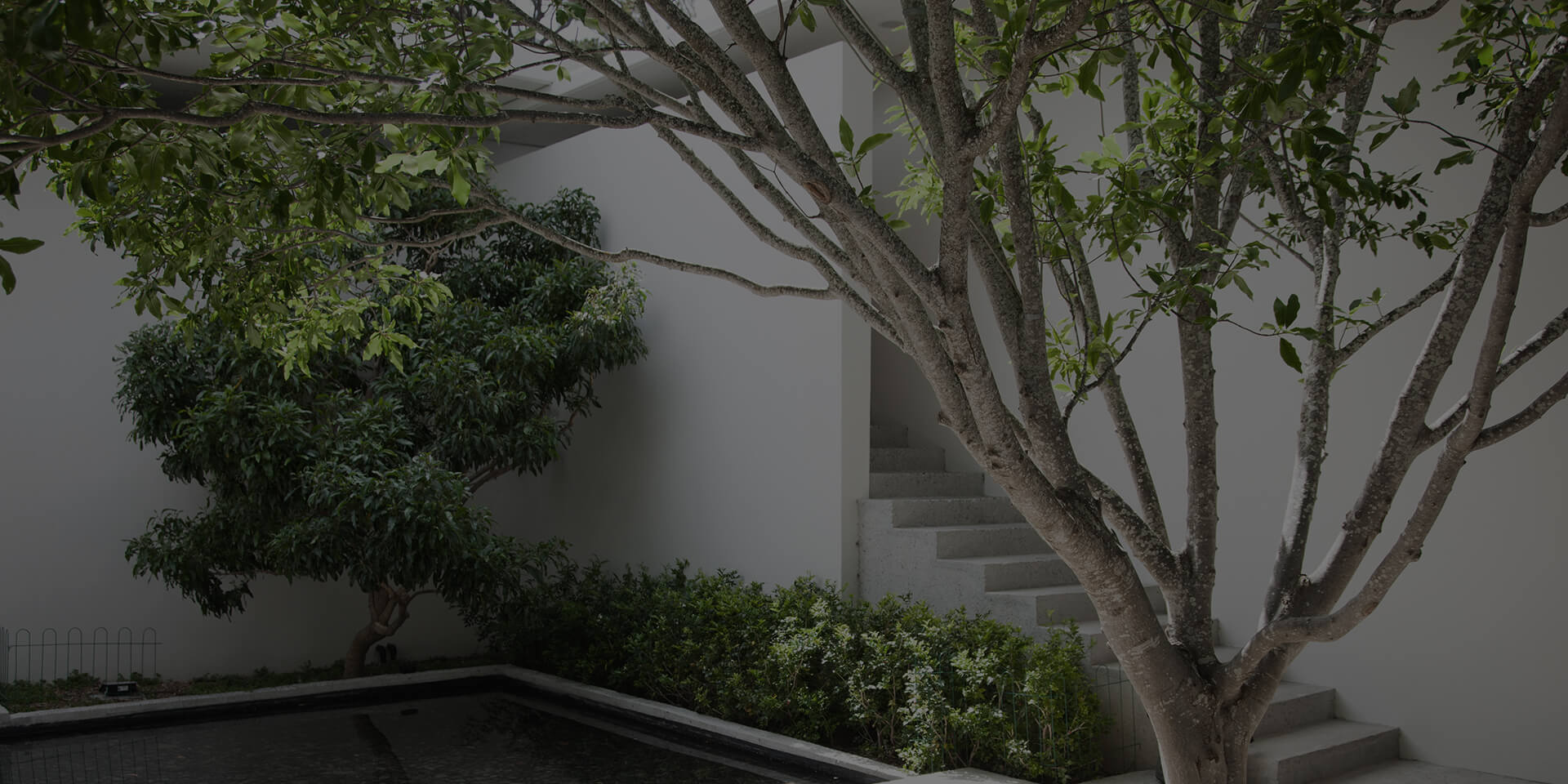 sustainability_bg